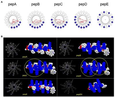 De Novo Design of Antimicrobial Peptides With a Special Charge Pattern and Their Application in Combating Plant Pathogens